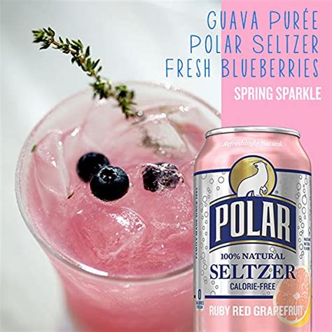 Polar Beverages All Flavor Variety Pack | Carbonated Flavored Sparkling ...