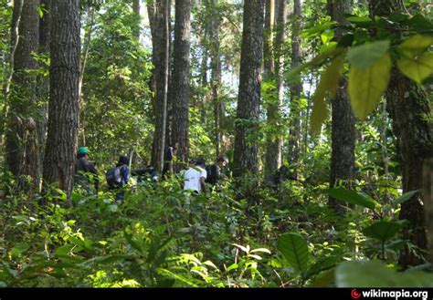 Hutan Pendidikan Gunung Walat, Fakultas Kehutanan, Institut Pertanian ...