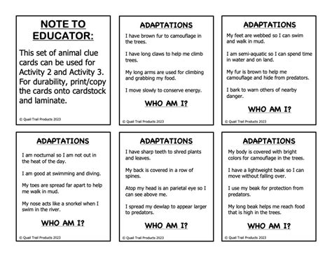 Animal Adaptations in the Rainforest Habitat Activities and Worksheets ...