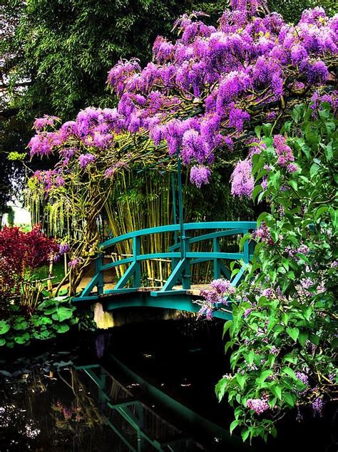 Japanese bridge at Monet's Giverny garden © Jim Hill | Monet garden ...