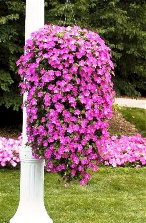 First Class Flower Plants For Hanging Pots Metal Umbrella Wall Planter