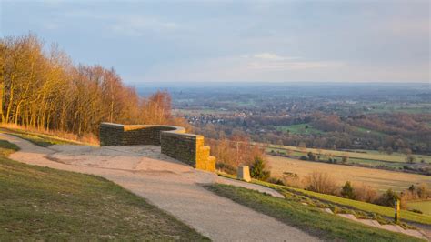 Box Hill | Surrey | National Trust