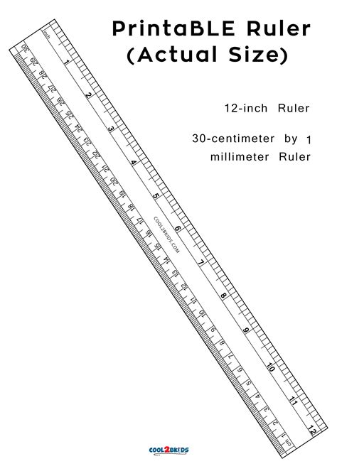 12 Inch Actual Size Printable Ruler