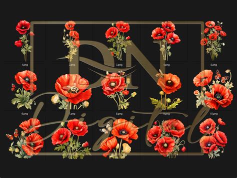 45 Watercolor Poppies Clipart Collection With Free Commercial - Etsy