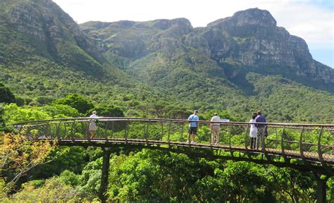 A visit to Kirstenbosch Botanical Gardens, Cape Town