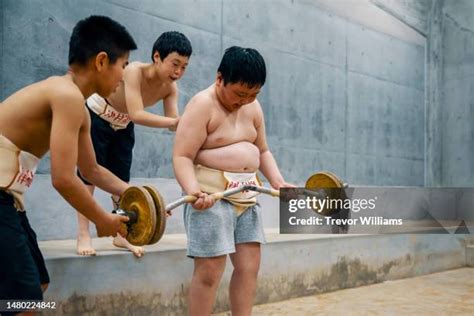 118 Sumo Wrestling Funny Stock Photos, High-Res Pictures, and Images ...