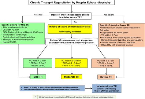 Tricuspid Regurgitation - Cardio Guide