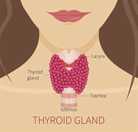 Thyroid Disease | Causes | Symptoms And Treatment - Fastnewsfeed