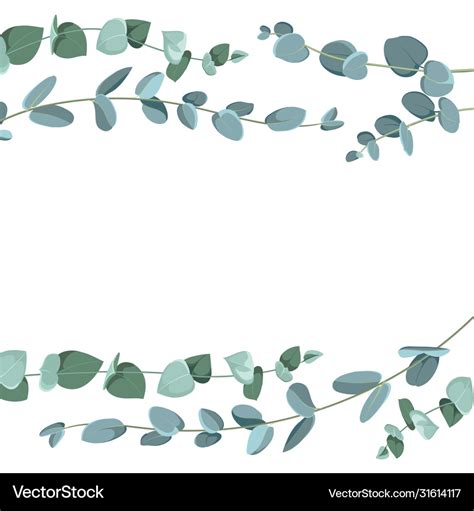 Eucalyptus border pattern on white background Vector Image