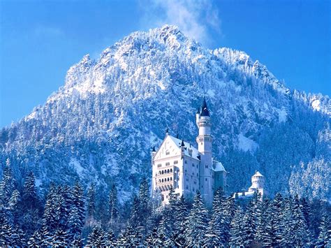 Winter Castle - Winter Photo (36150615) - Fanpop