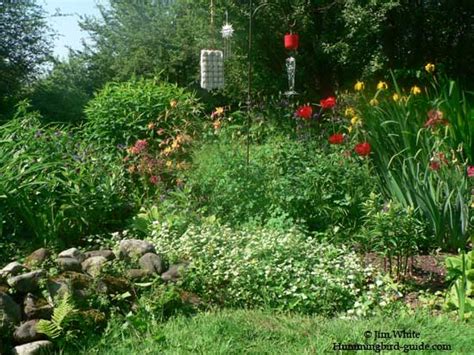 Hummingbird Garden Plans. Creating a Hummingbird Garden.