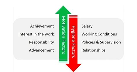 Herzberg's Motivation Theory (Two Factor Theory) : An Easy Summary