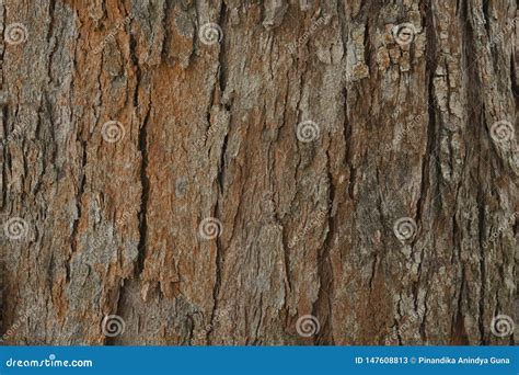 Wood Texture for Text Background Stock Image - Image of fluffy ...