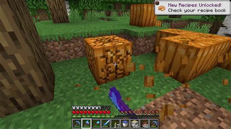 How to get Pumpkins and Pumpkin Seeds guide - Minecraft - YouTube