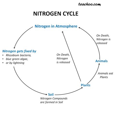 [DIAGRAM] Liquid Nitrogen Diagram - MYDIAGRAM.ONLINE