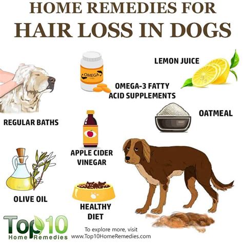 Can Vitamin Deficiency Cause Hair Loss In Dogs - favorite Men Haircuts