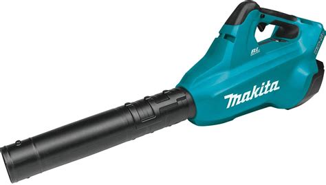 Top 15 Best Cordless Leaf Blowers For 2020 | Storables