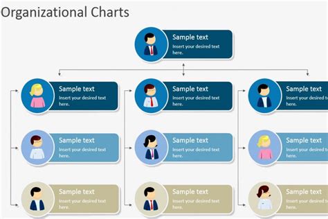 Hierarchical Organizational Chart Template