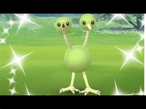 Shiny doduo pokemon go : PokemonGOValor