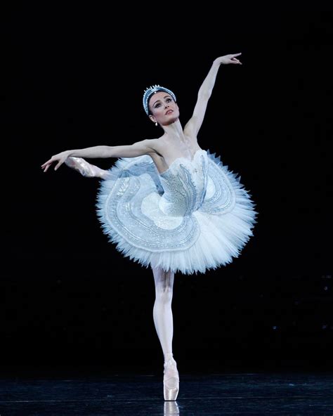 What's On | Australian ballet, Ballet beautiful, Swan lake