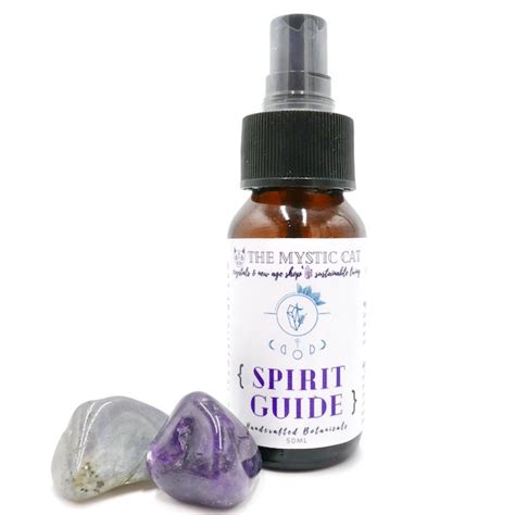 Spirit Guide & Meditation Spritzer – THE MYSTIC CAT