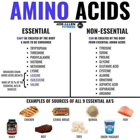 Essential and Non Essential Amino Acids - JamaronewtBarrett