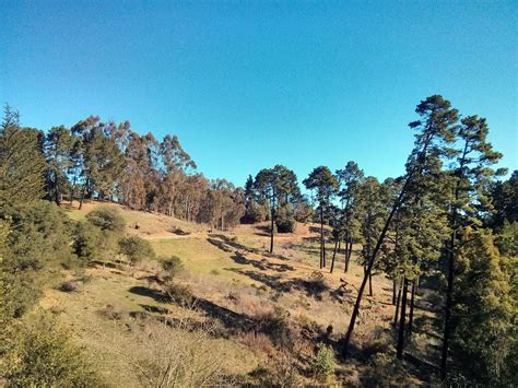 Redwood Regional Park : Oakland California | Visions of Travel