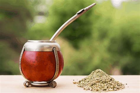 Best Yerba Mate Brands in 2020 | Top 10 Companies To Choose From