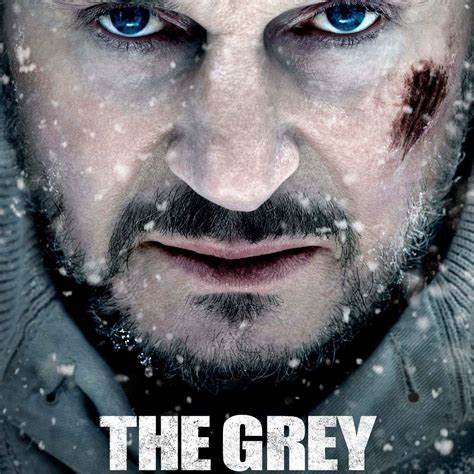 Top 10 BEST Liam Neeson movies, RANKED in order