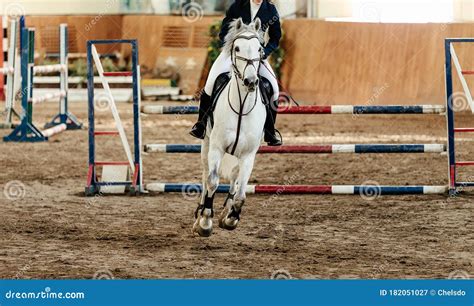 Show jumping competition stock image. Image of high - 182051027