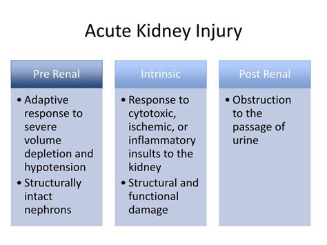 PPT - Acute Kidney Injury PowerPoint Presentation, free download - ID ...