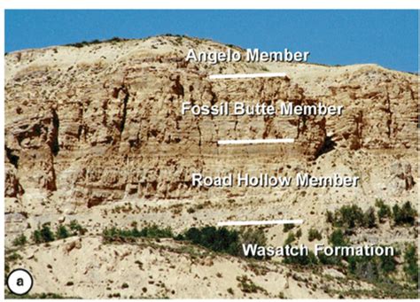 Fossil Butte - Geology of Wyoming