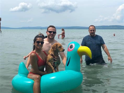 Kosice Vet Student Journey: Lake Balaton - Balatonfoldvar Dog Beach