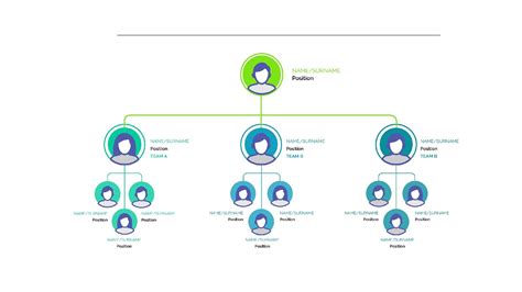 Flat Organizational Structure - Definition, Meaning, Characteristics