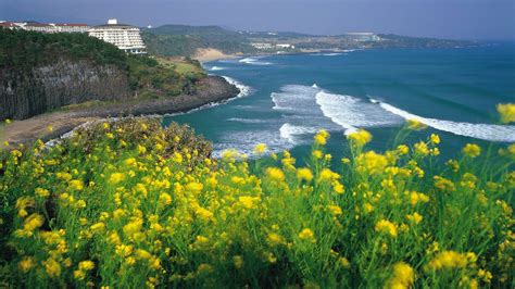 7 Top Attractions in Jeju Island - South Korea, You must Visit ...