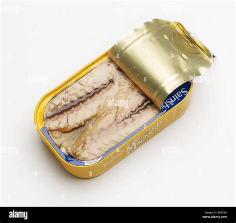 tinned mackerel Stock Photo, Royalty Free Image: 30876681 - Alamy