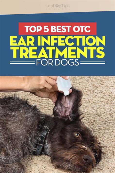 Top 5 Best Dog Ear Infection Treatment in 2023 (Over-the-Counter)