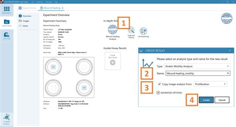 HoloMonitor® Wound Healing Assay Protocol - Phase Holographic Imaging