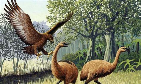 New Zealand Scientists Bring Extinct Birds Back Through 3D Scanning ...