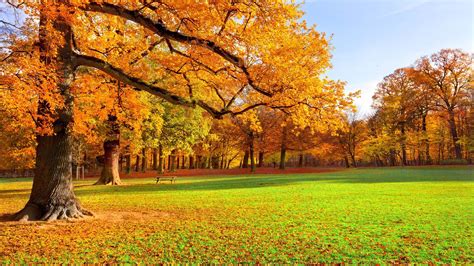 Fall Scenery Wallpapers - Wallpaper Cave