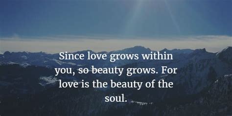 100+ Beautiful Soul Quotes and Images to Inspire You