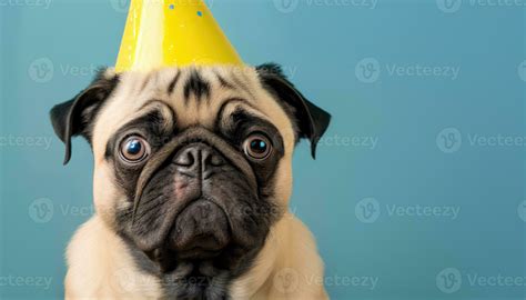 Dog wearing birthday hat. Generative AI 24032097 Stock Photo at Vecteezy