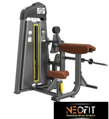 Bicep Curl Machine, Size/Dimension: Standard, Model Name/Number ...