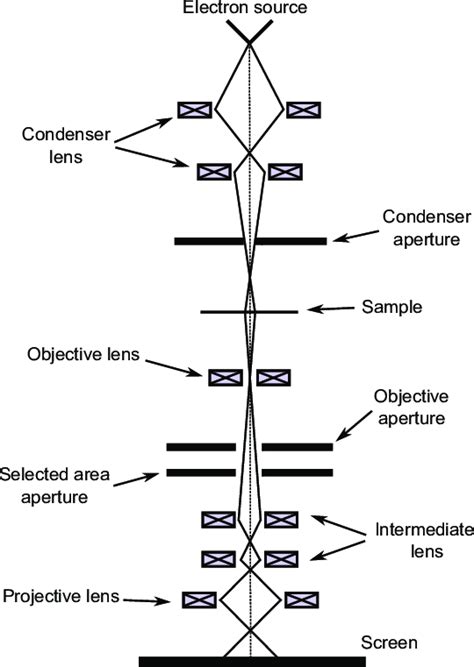 Rational Get married cream electron microscope diagram leave satellite ...