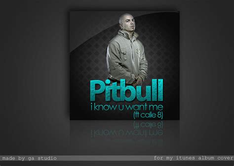 pitbull itunes album cover by urbandesing on DeviantArt