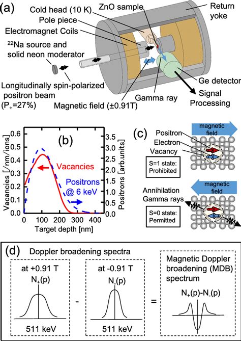 (a) Schematic of the positron annihilation measurement system ...