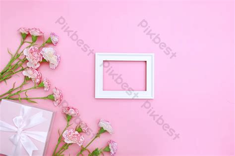 Pink Carnation Background | PSD Free Download - Pikbest