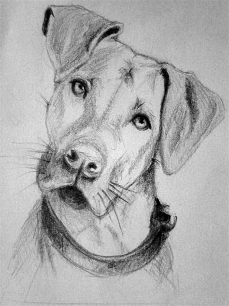 17 Best images about dog art on Pinterest | Folk art, Dog drawings and ...