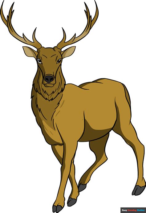 How to Draw an Elk - Really Easy Drawing Tutorial