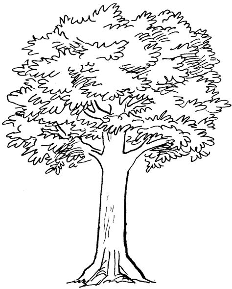 Free Tree Sketches Black And White, Download Free Tree Sketches Black ...